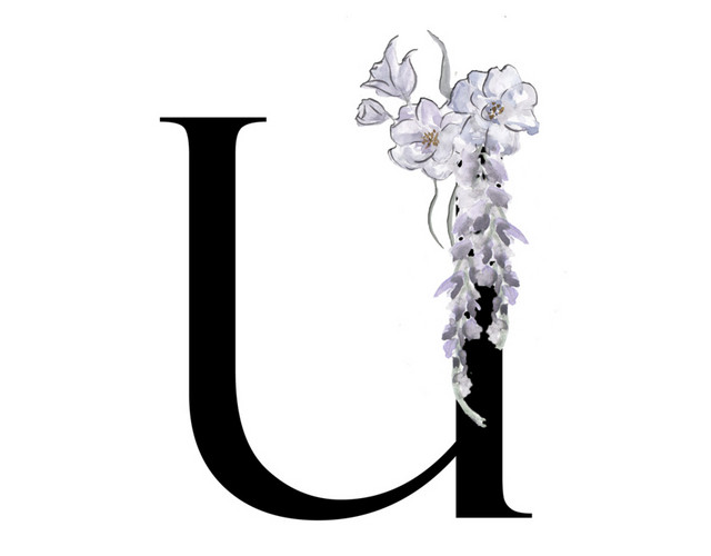 黑白清新植物英文字母U免抠素材