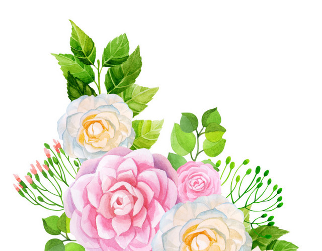 彩色叶子花朵花瓣装饰