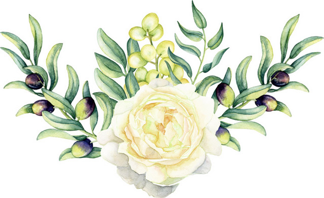 水彩植物花卉素材