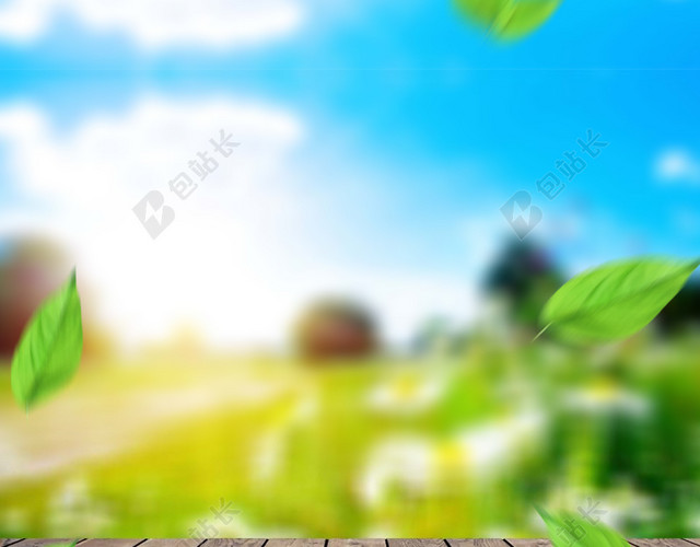 绿叶促销主图背景图