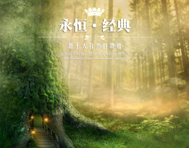 树林梦幻主图背景