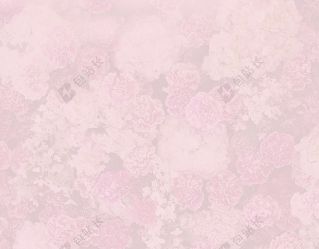 花海背景