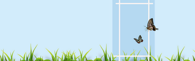 手绘花朵简约大气BANNER