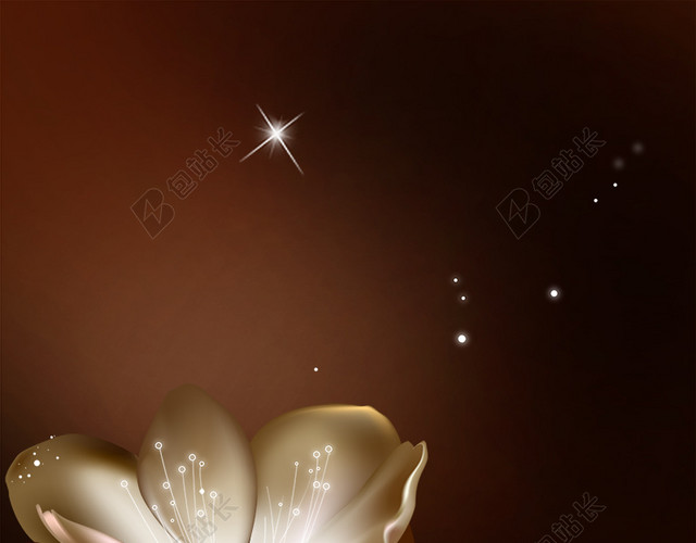 唯美花朵背景