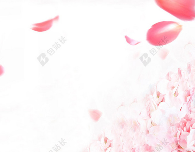 浪漫花瓣背景