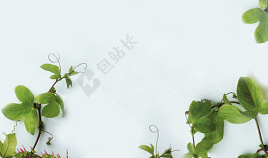 浪漫花朵海报背景图
