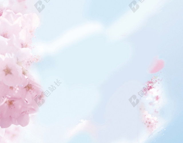 樱花清新背景