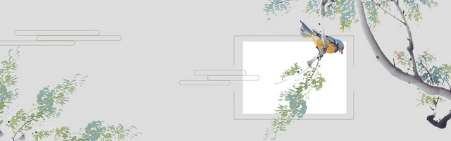 创意简约小清新BANNER