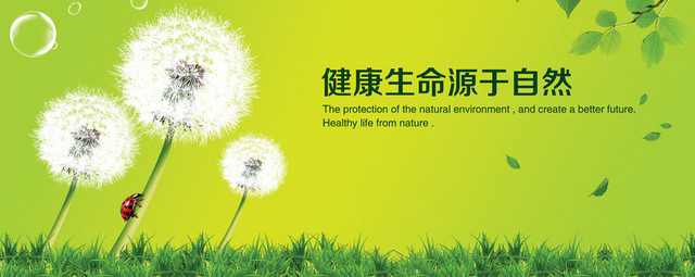 绿色健康养生自然背景