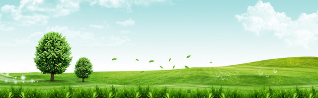 春天绿叶绿色环保和谐低碳草地背景图
