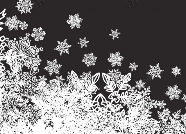 简约黑金冬季雪花节日设计背景图