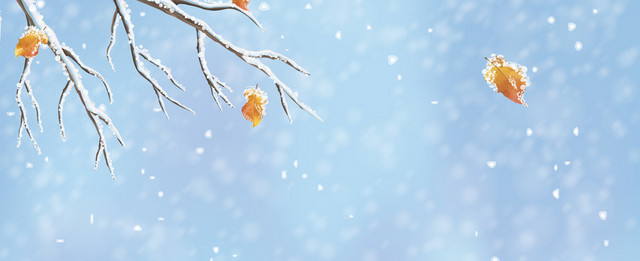 冬天小雪立冬冬至文艺小清新蓝色BANNER