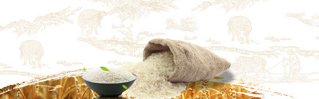 五谷杂粮大米背景海报BANNER