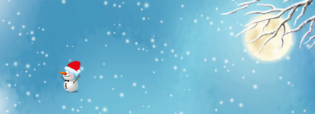 雪花小清新文艺蓝色BANNER