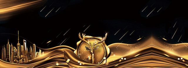 2018梦想飞翔大气黑金BANNER