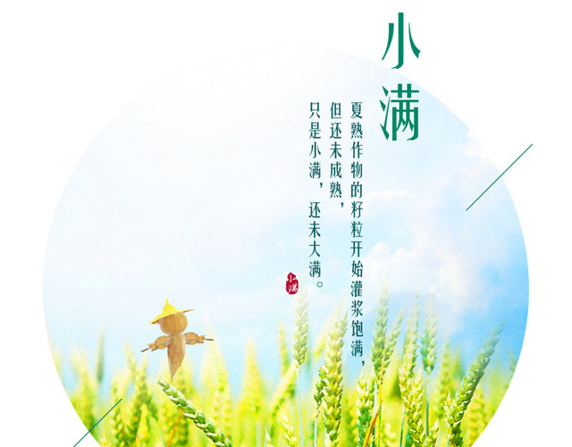 二十四节气小满主题圆形麦田海报