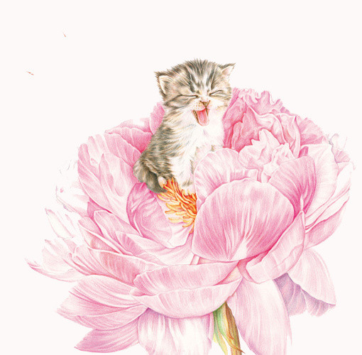 花卉里的小满