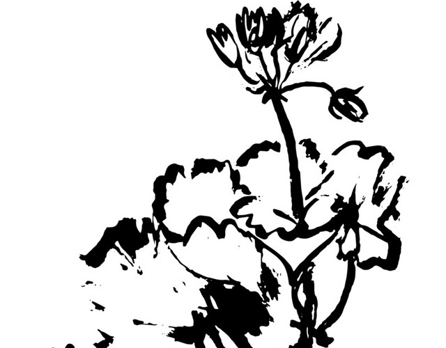 黑色墨迹涂鸦简笔花卉免抠素材