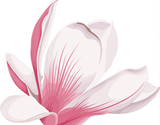 花朵矢量素材