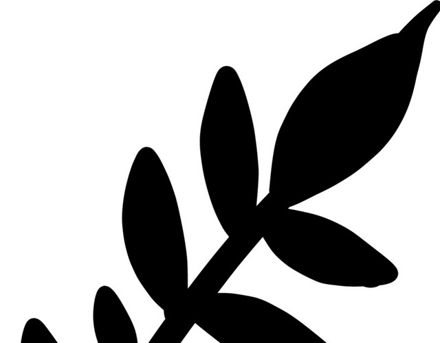 手绘植物矢量素材