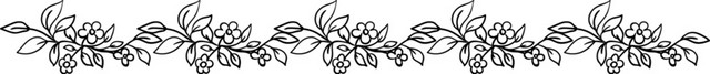 精美花边分割线矢量元素