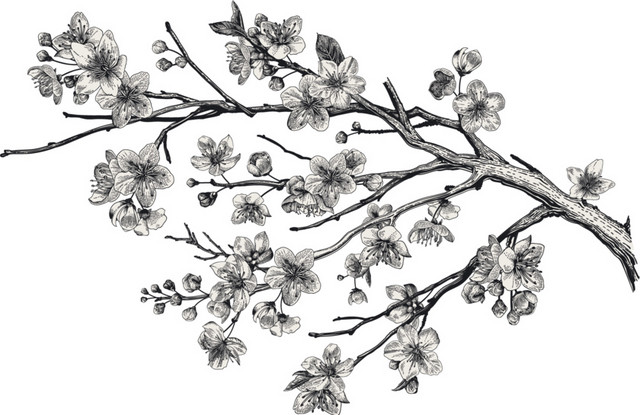 花朵钢笔画黑白素材