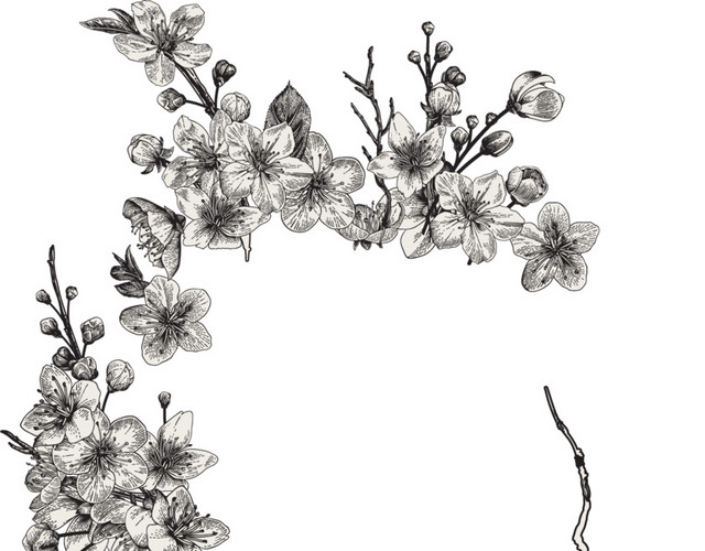 花朵钢笔画黑白素材