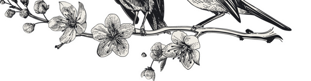 花朵花鸟钢笔画黑白素材