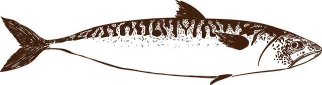 海洋生物水生物鱼类钢笔画素材