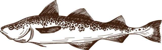 海洋生物水生物鱼类钢笔画素材