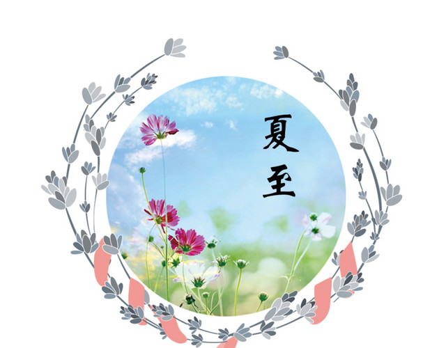夏至花圈花卉素材