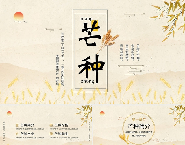 淡雅中国风传统二十四节气之芒种节日介绍PPT模板