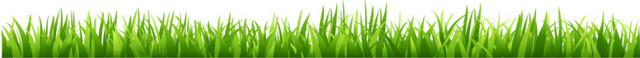 绿色手绘花草边框设计矢量图片