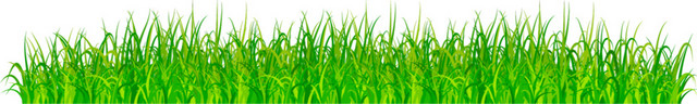 绿色手绘花草边框设计矢量图片