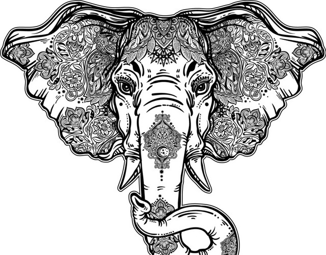 大象素描手绘素材