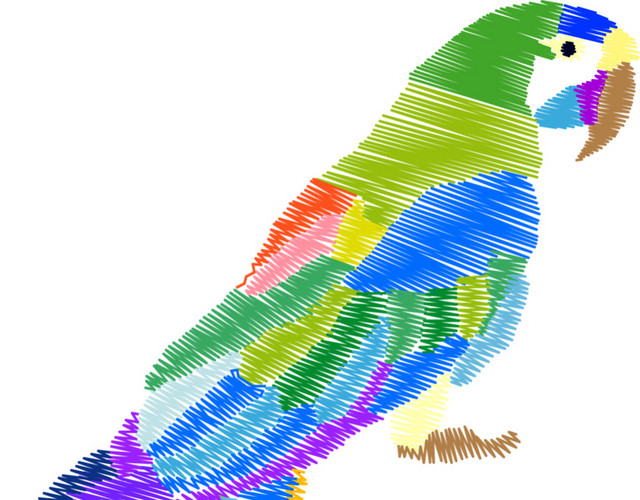 彩色鸟手绘素材