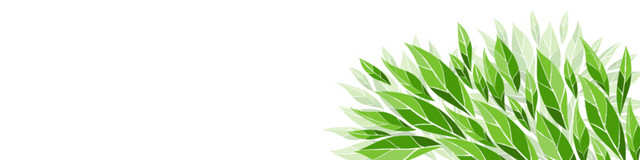 彩色清新装饰BANNER素材
