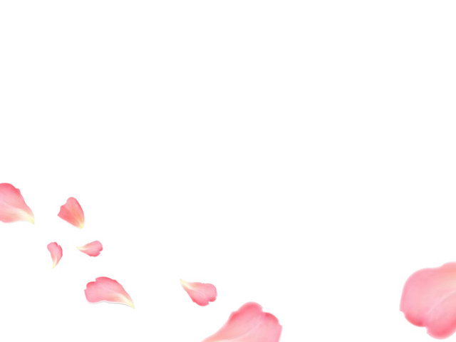 红色的花瓣矢量元素