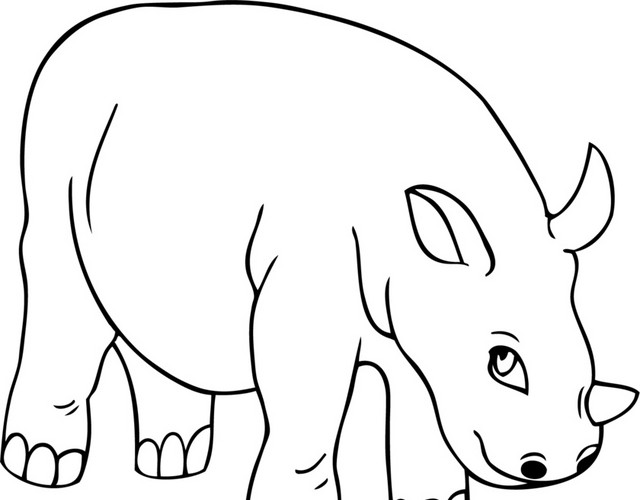 犀牛素材
