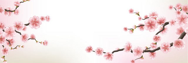 BANNER背景图片