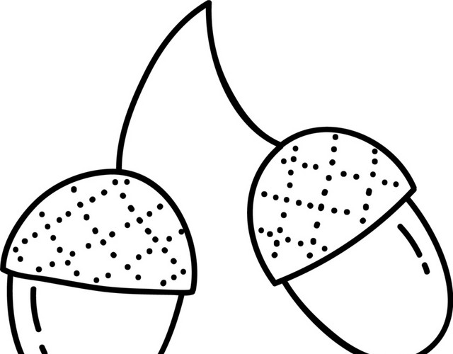 坚果简笔画