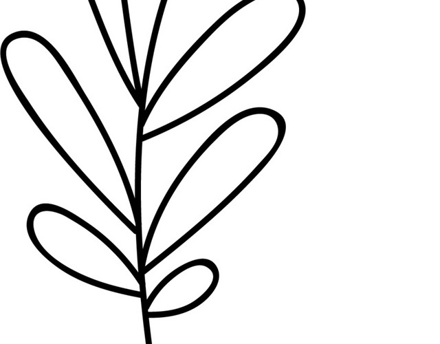 简笔画花卉