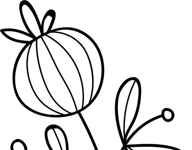花蕾简笔画
