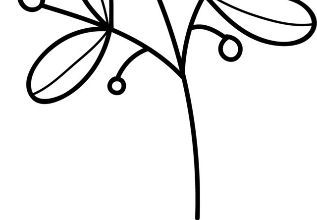 花蕾简笔画