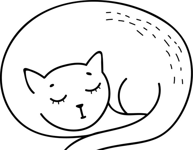 小猫简笔画