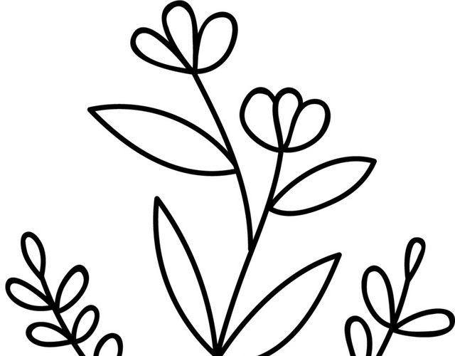 简笔画植物