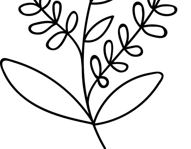简笔画植物