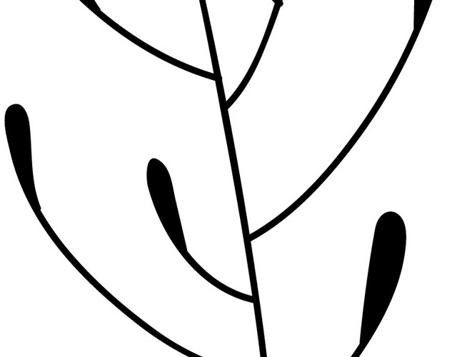 黑色手绘叶子