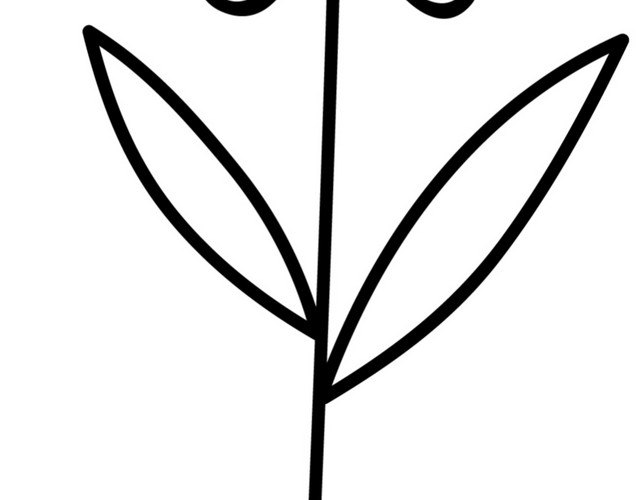 手绘黑色小花
