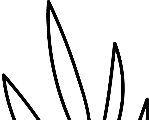 枝条简笔画